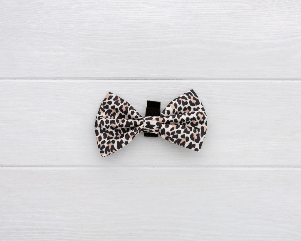 leopard print dog and cat bow-tie