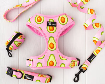 Avocado pink dog and cat pet accessories walking bundle
