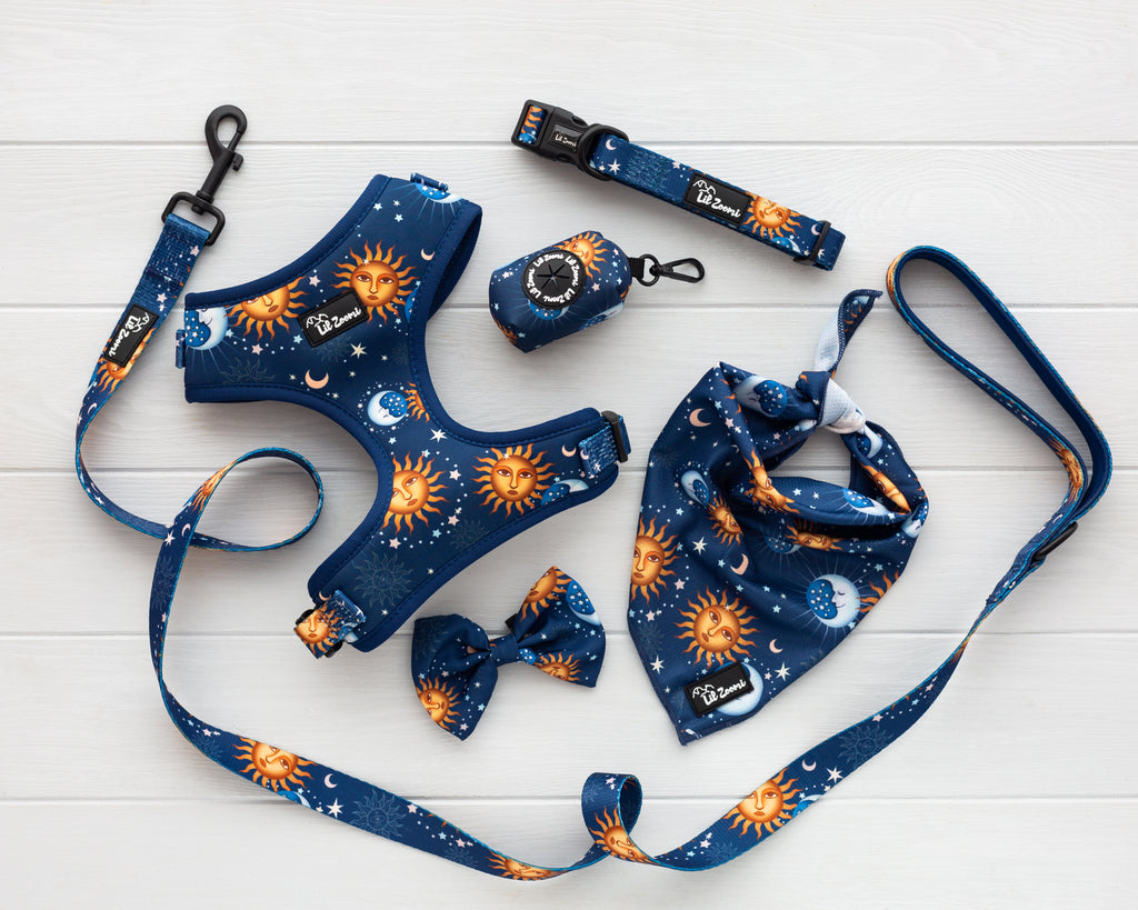 Blue and gold stars and moon dog and cat pet accessories harness, lead, collar, bow-tie, bandana and poop-bag holder bundle