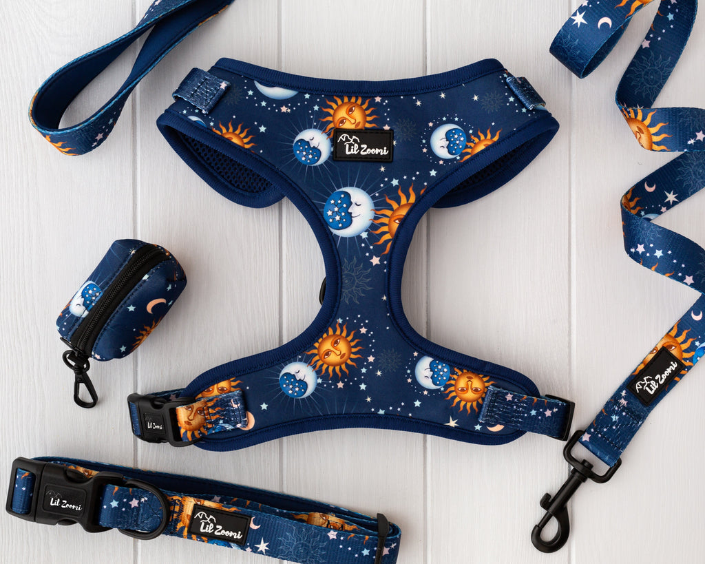 Blue and gold stars and moon dog and cat pet accessories walking bundle