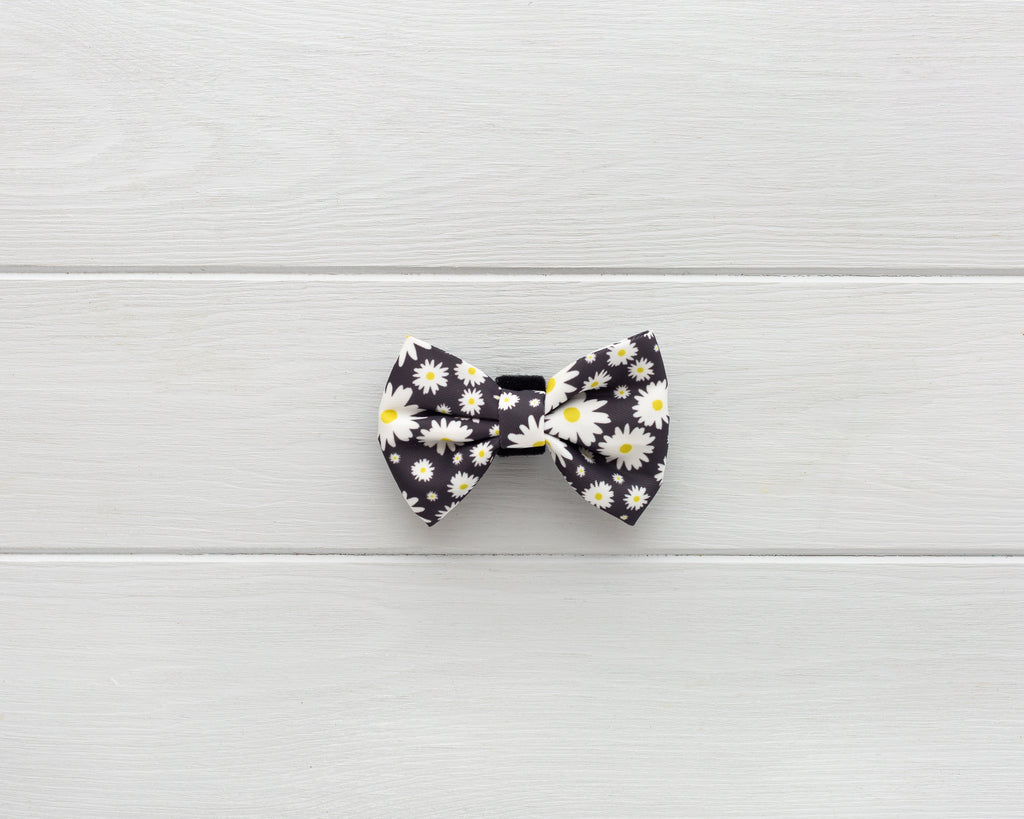 Daisy flowers theme dog and cat bow-tie