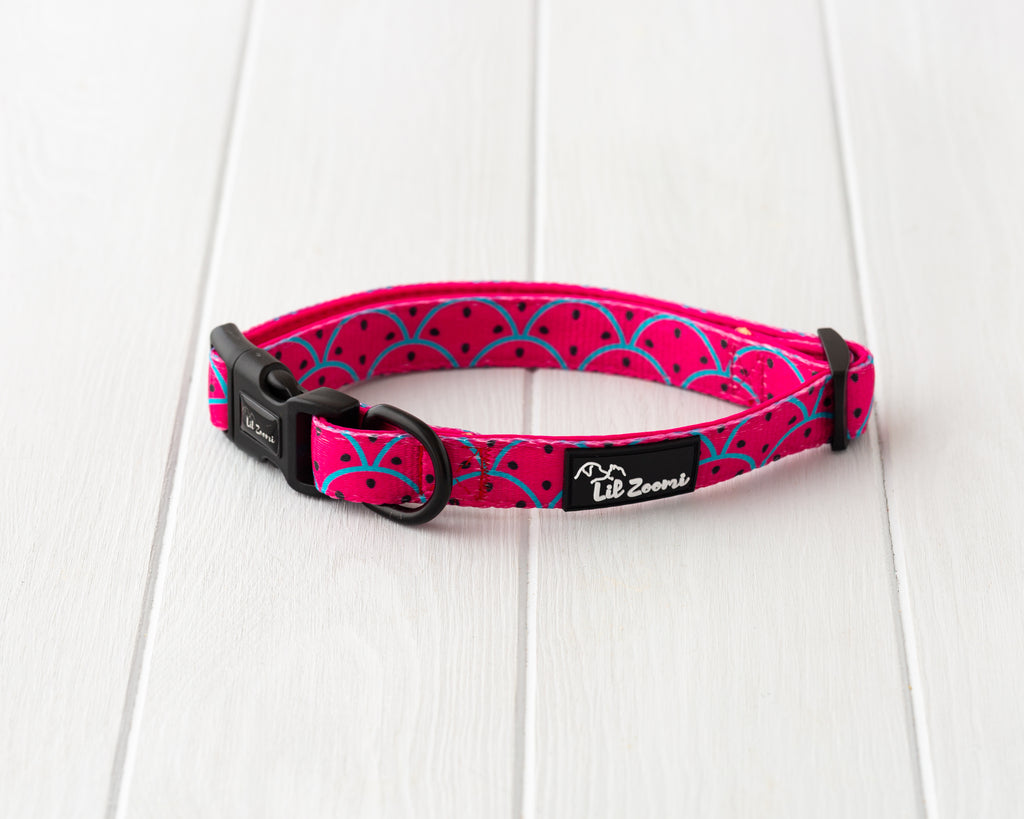One in a melon theme dog and cat collar 