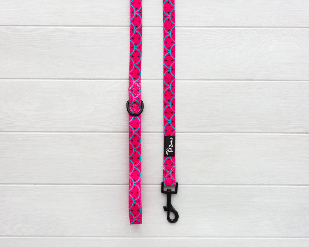 One in a melon theme dog and cat leash