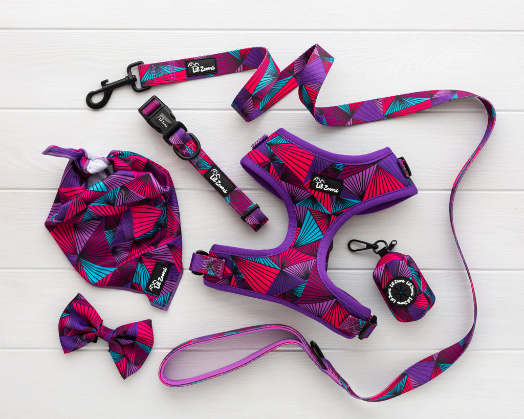 Purple Aztec dog and cat pet accessories harness, lead, collar, bow-tie, bandana and poop-bag holder bundle