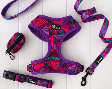 Purple Aztec dog and cat pet accessories walking bundles