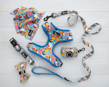 Chonky food  print dog and cat pet accessories harness, lead, collar, bow-tie, bandana and poop-bag holder bundle