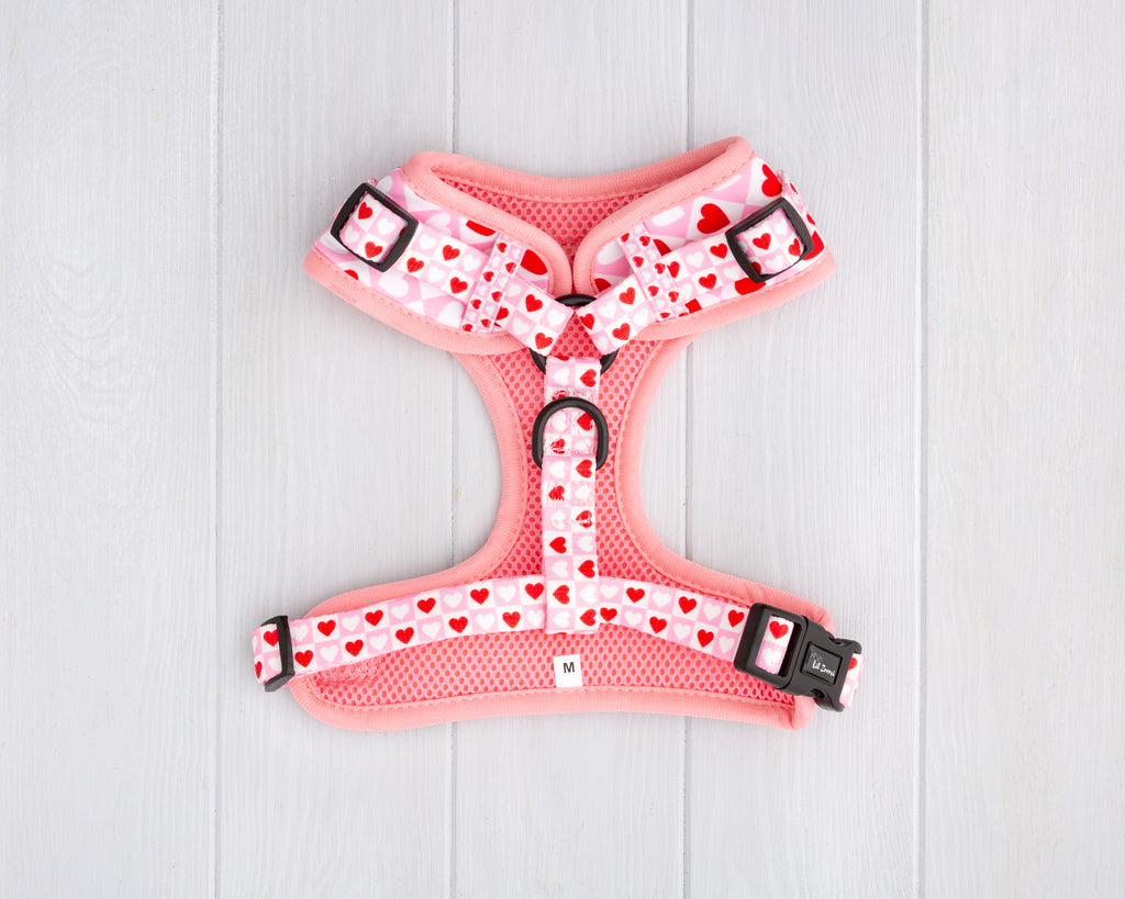 Lots of Love Red and Pink Love heart print dog and cat adjustable harness back