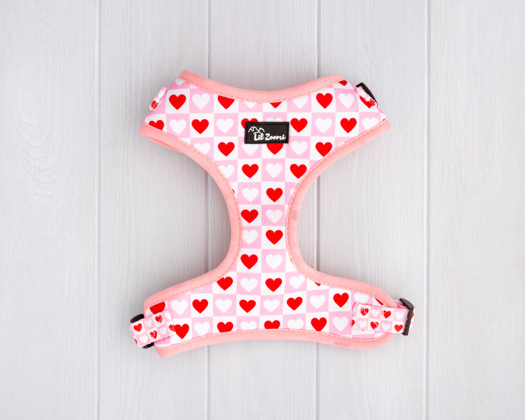 Lots of Love Red and Pink Love heart print dog and cat adjustable harness front
