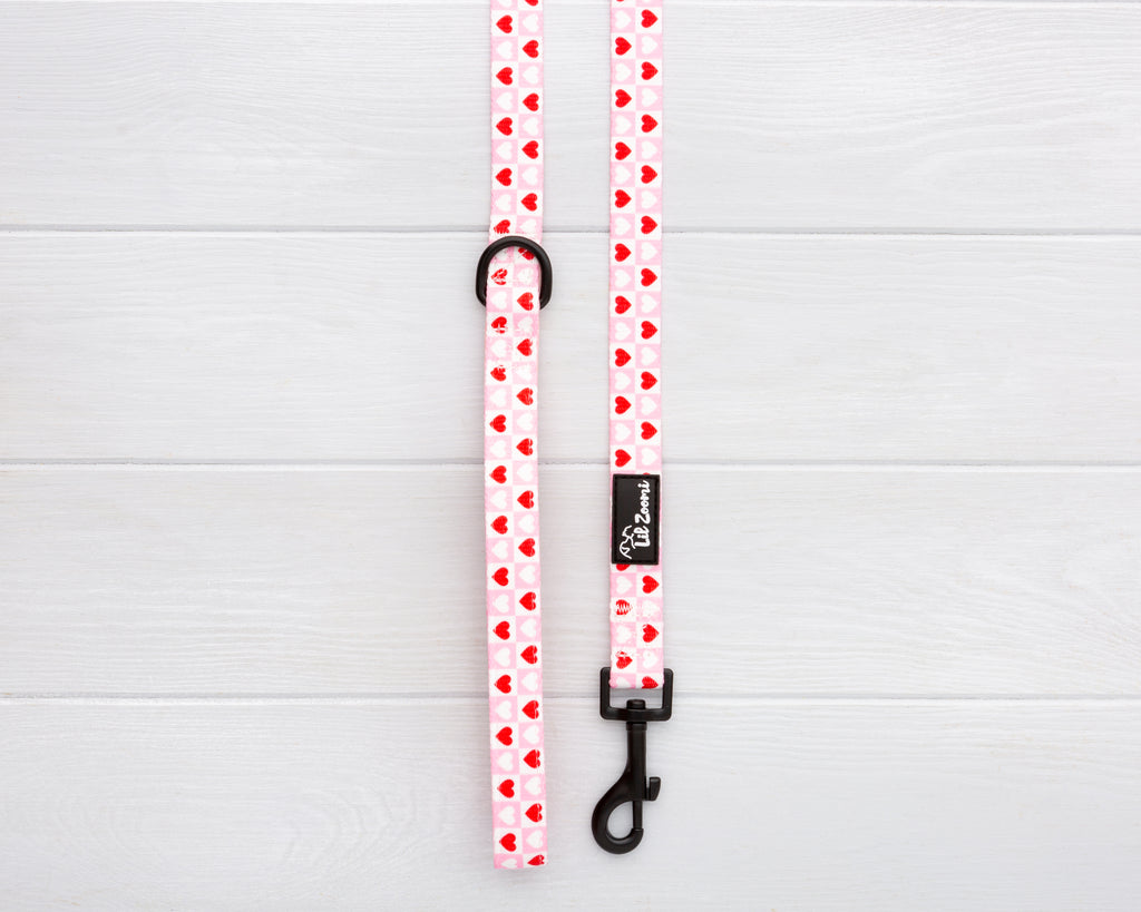 Lots of Love Red and Pink Love heart print dog and cat leash