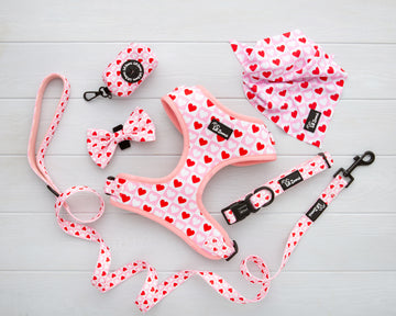 Lots of Love Red and Pink Love heart print dog and cat pet accessories harness, lead, collar, bow-tie, bandana and poop-bag holder bundle