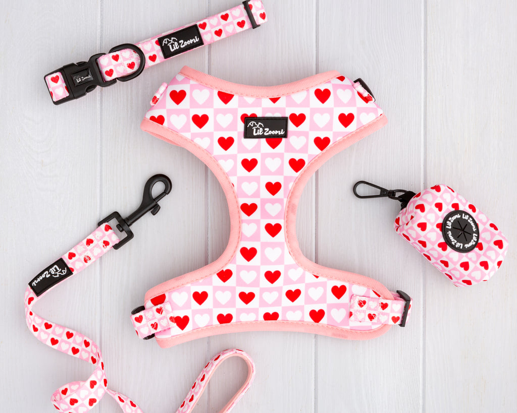 Lots of Love Red and Pink Love heart print dog and cat pet accessories walking bundle