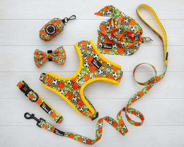 Sport and balls sporty print theme dog and cat pet accessories harness, lead, collar, bow-tie, bandana and poop-bag holder bundle