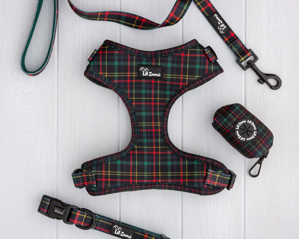 Tartan green and red print dog and cat pet accessories walking bundle
