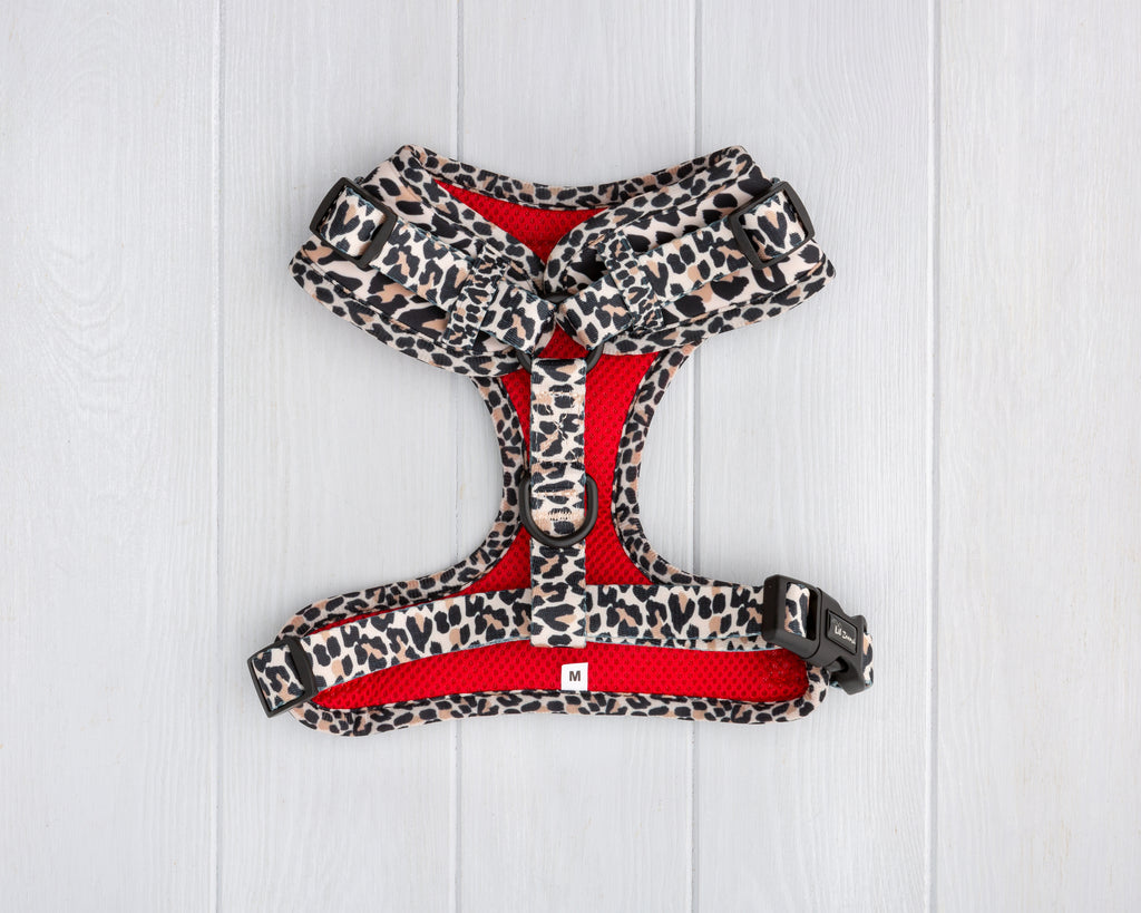 leopard print dog and cat adjustable harness back