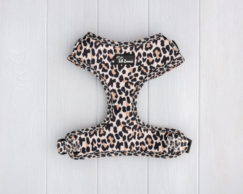 leopard print dog and cat adjustable harness front