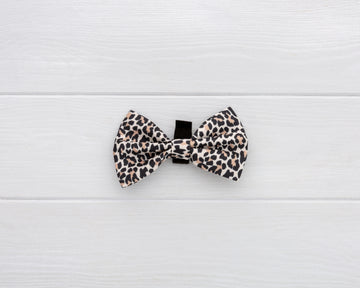 leopard print dog and cat bow-tie