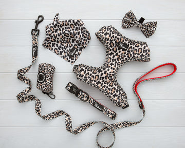 leopard print theme dog and cat pet accessories harness, lead, collar, bow-tie, bandana and poop-bag holder bundle
