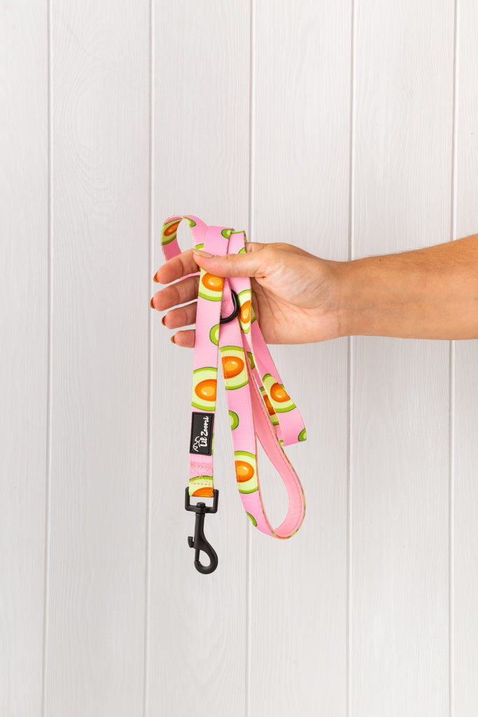 Avocado pink dog and cat lead