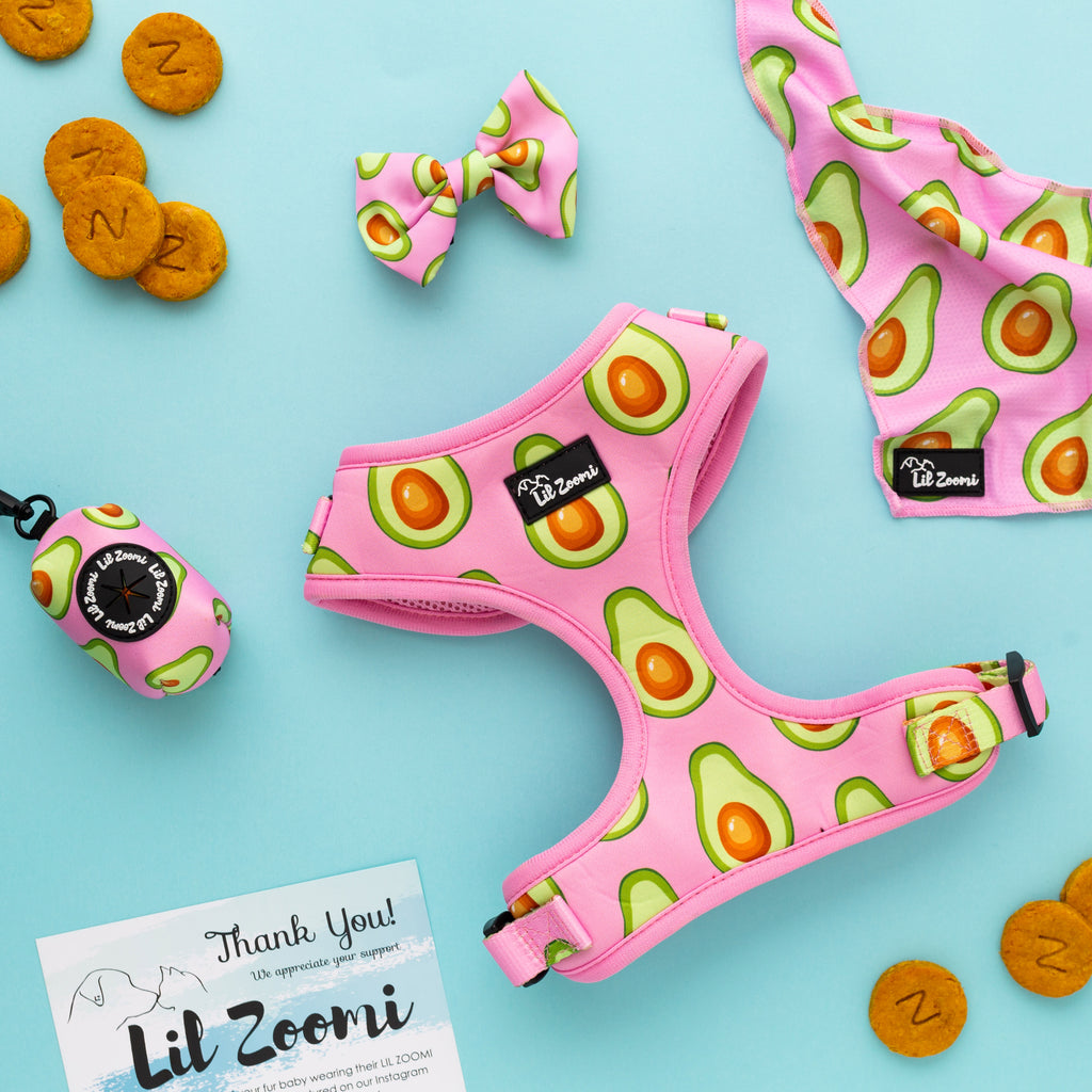 Avocado pink dog and cat pet accessories bundle