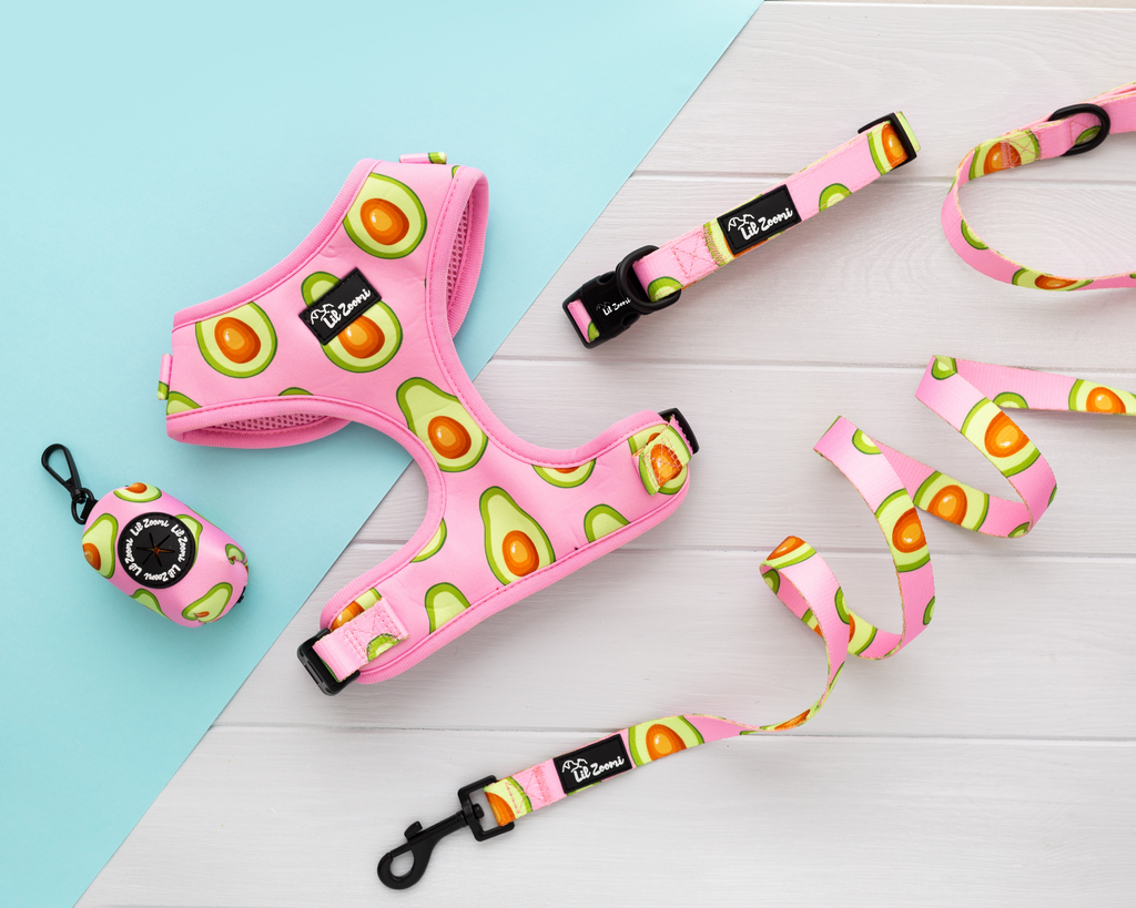 Avocado pink dog and cat pet accessories walking bundle