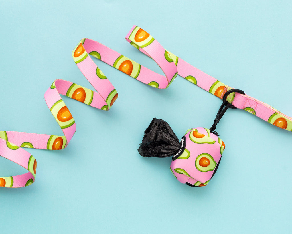 Avocado pink dog leash and dog poop bag holder