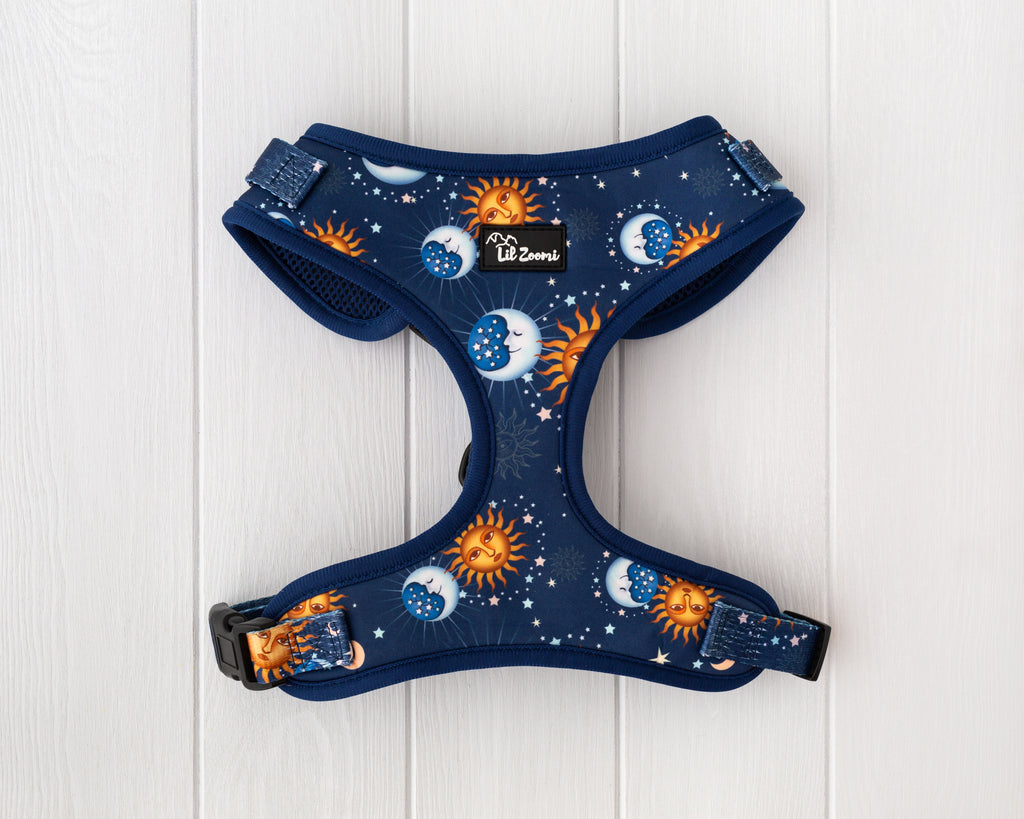 Blue and gold stars and moon dog and cat adjustable harness back