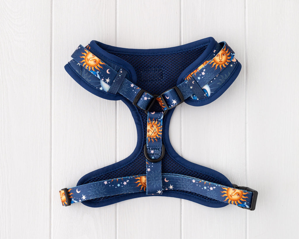 Blue and gold stars and moon dog and cat adjustable harness front