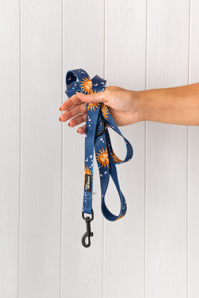 Blue and gold stars and moon dog and cat leash