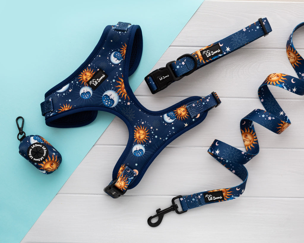 Blue and gold stars and moon dog and cat pet accessories walking bundle
