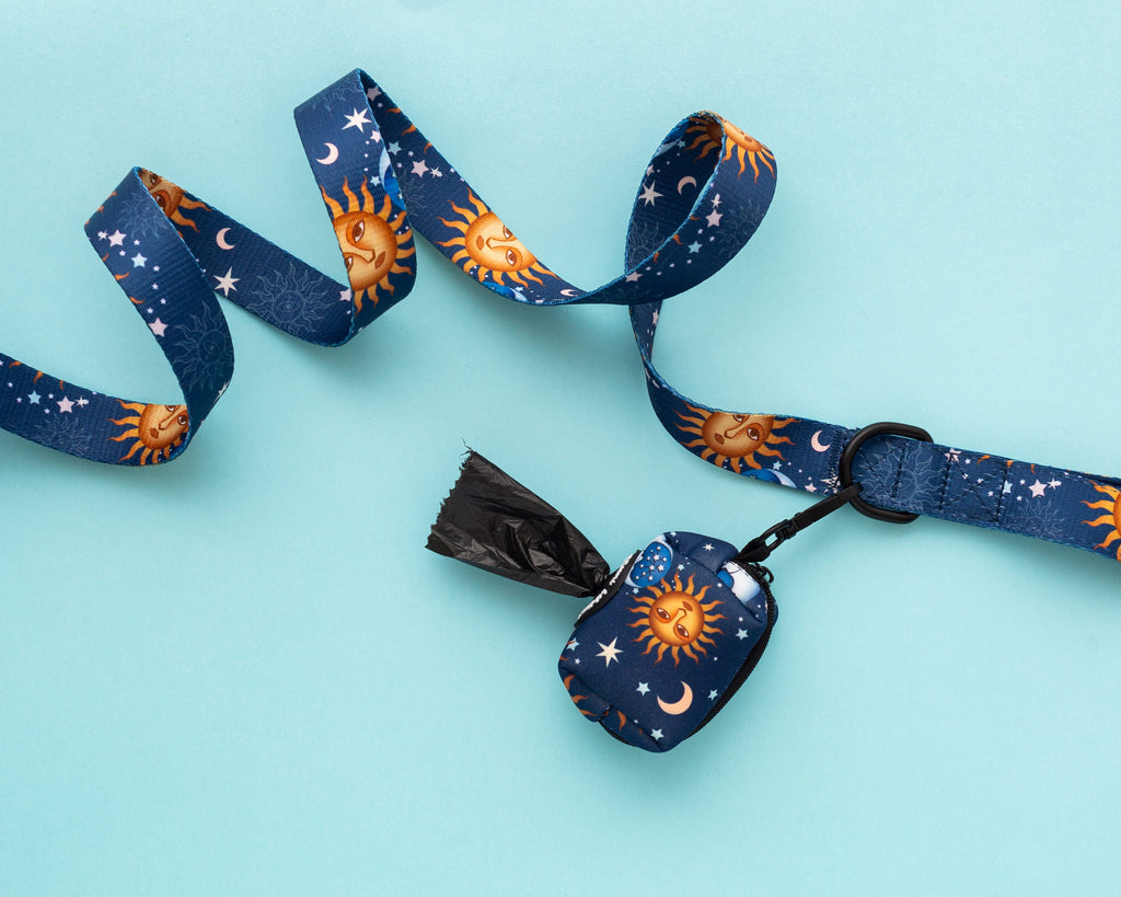 Blue and gold stars and moon dog leash and dog poop bag holder