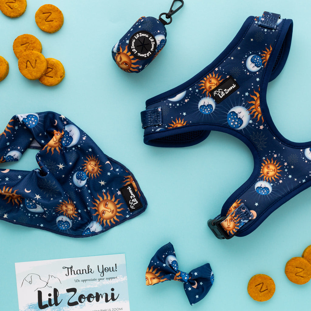 Blue and gold stars and moon pet accessories bundle