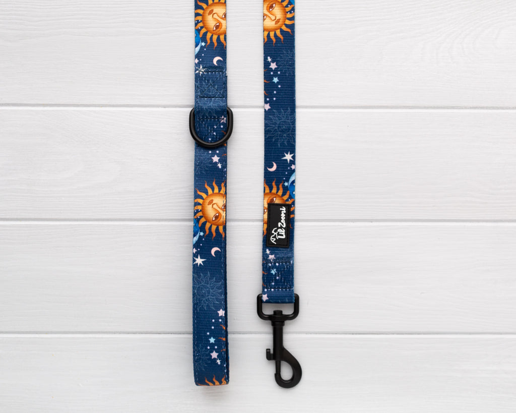 Blue and gold stars and moon dog and cat leash