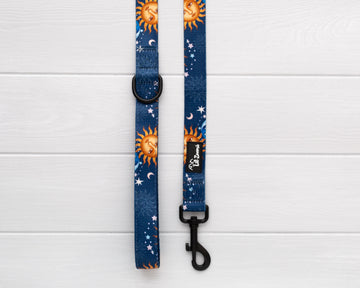 Blue and gold stars and moon dog and cat leash