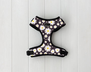 Daisy flowers theme dog and cat adjustable harness front