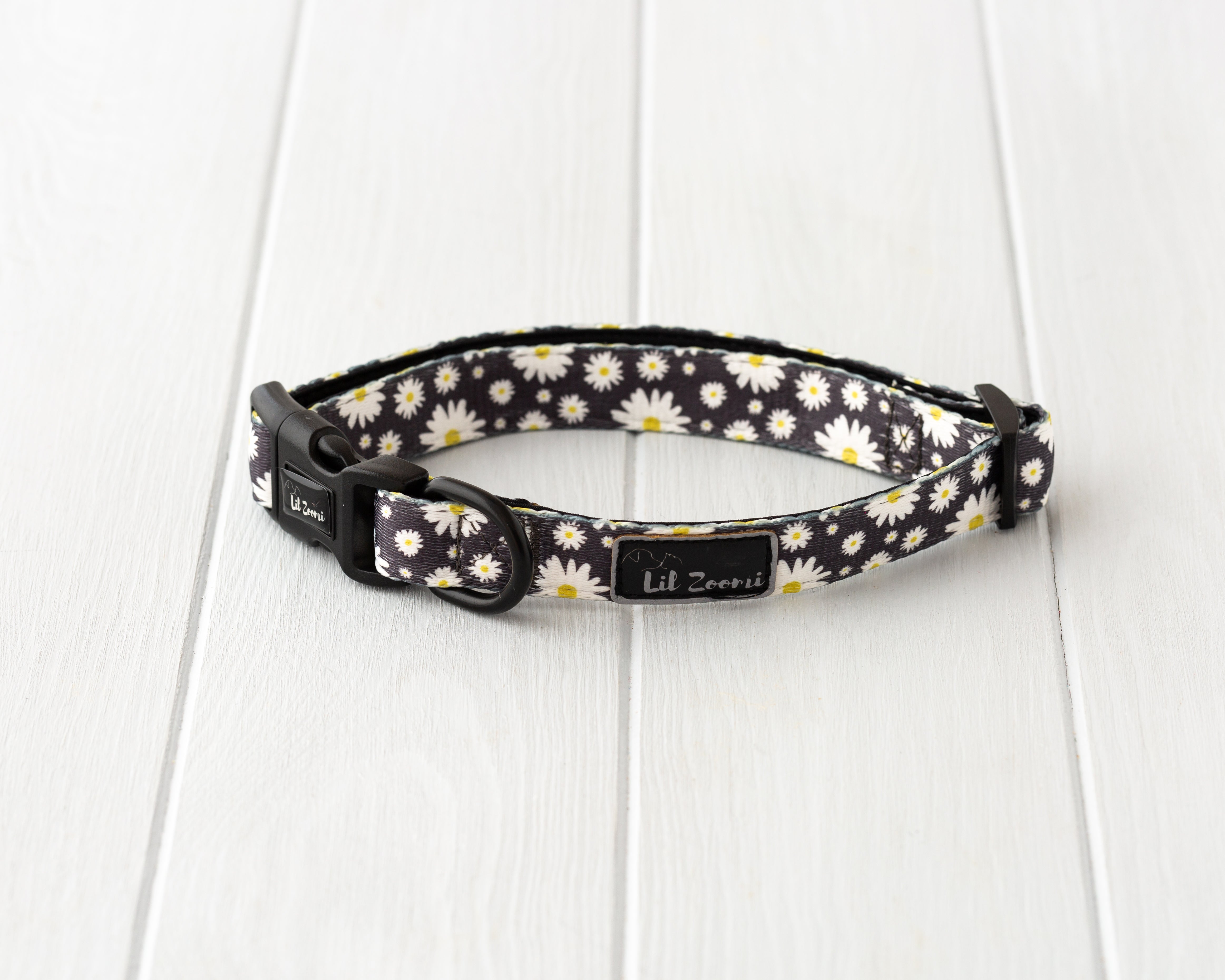 Daisy cat collar outlet