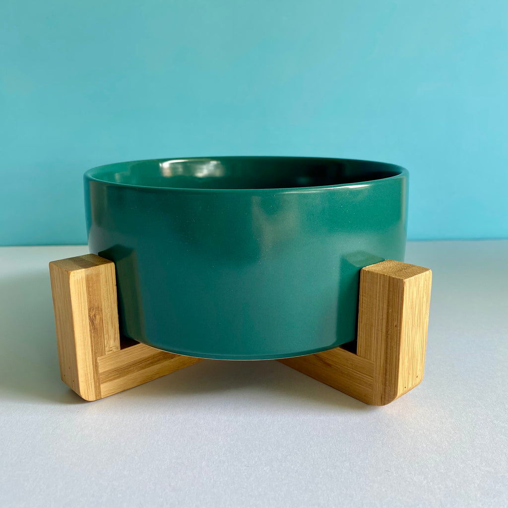 Dog and cat travel food and water bowl emerald green