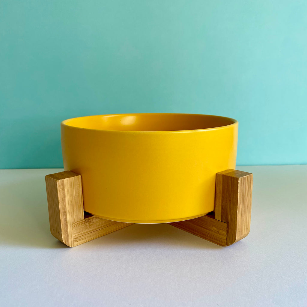 Dog and cat travel food and water bowl yellow