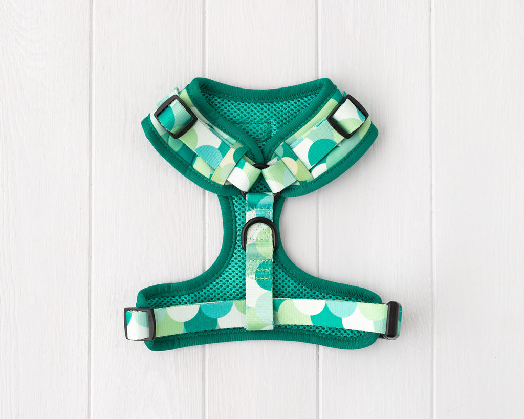 Green scale mermaid print dog and cat adjustable harness front
