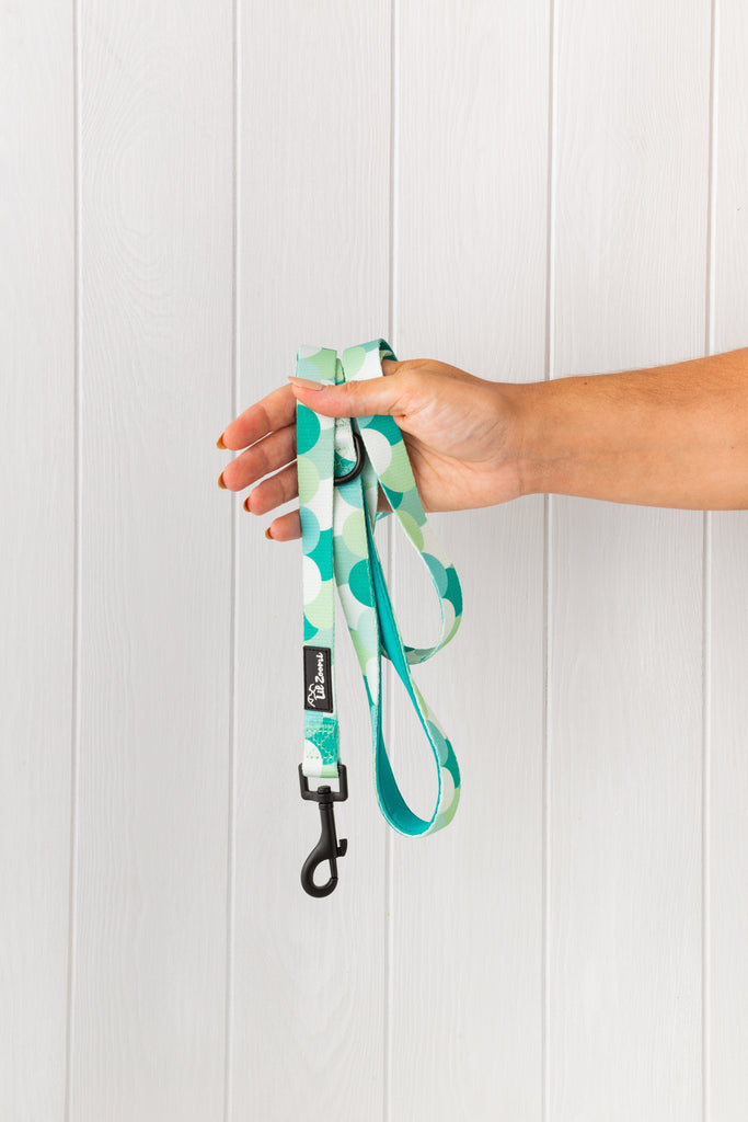 Green scale mermaid print dog and cat lead