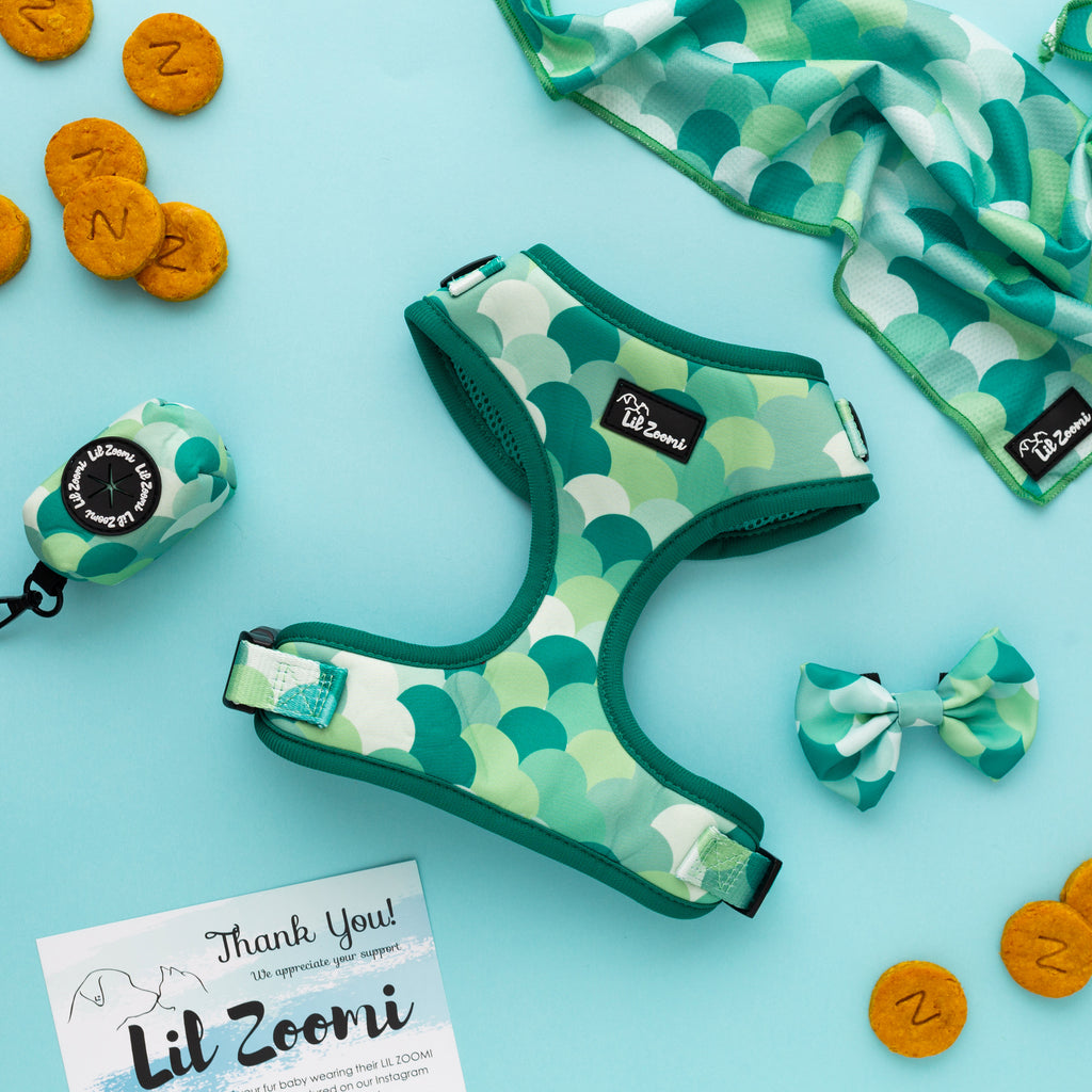 Green scale mermaid print dog and cat pet accessories bundle