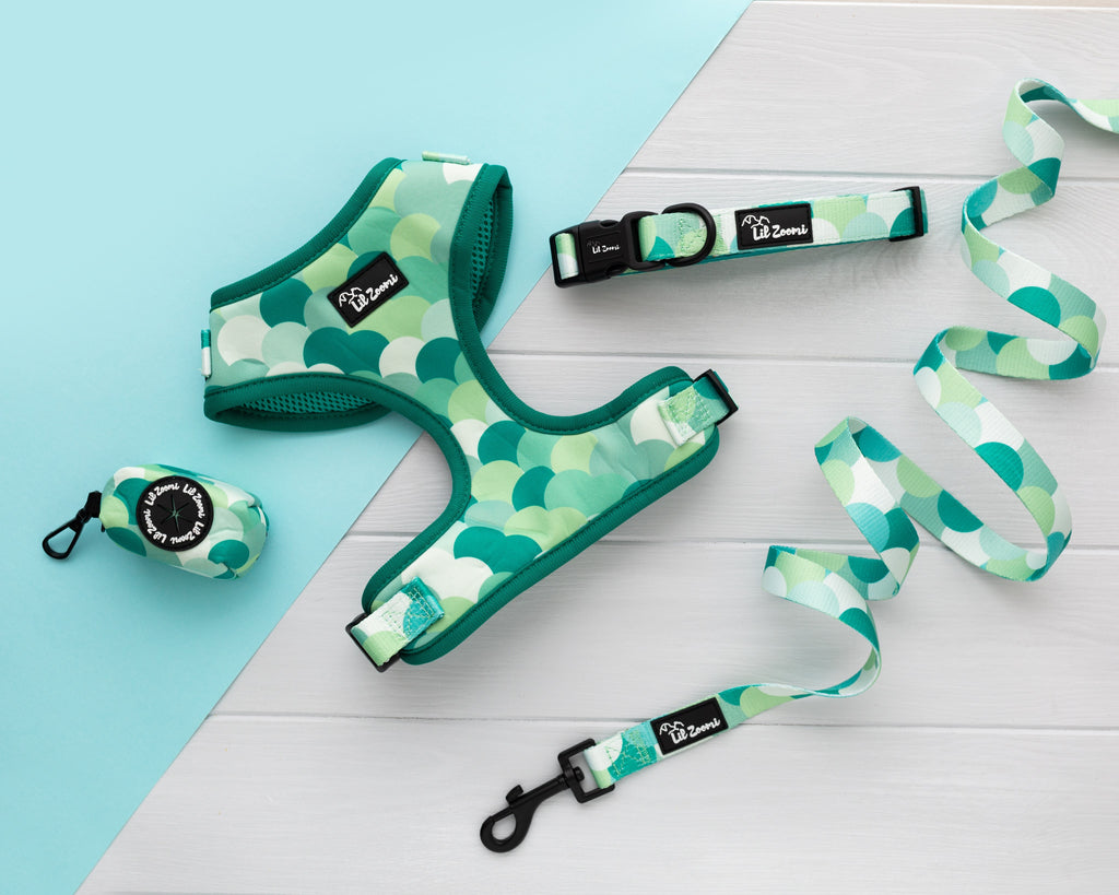 Green scale mermaid print dog and cat pet accessories walking bundle