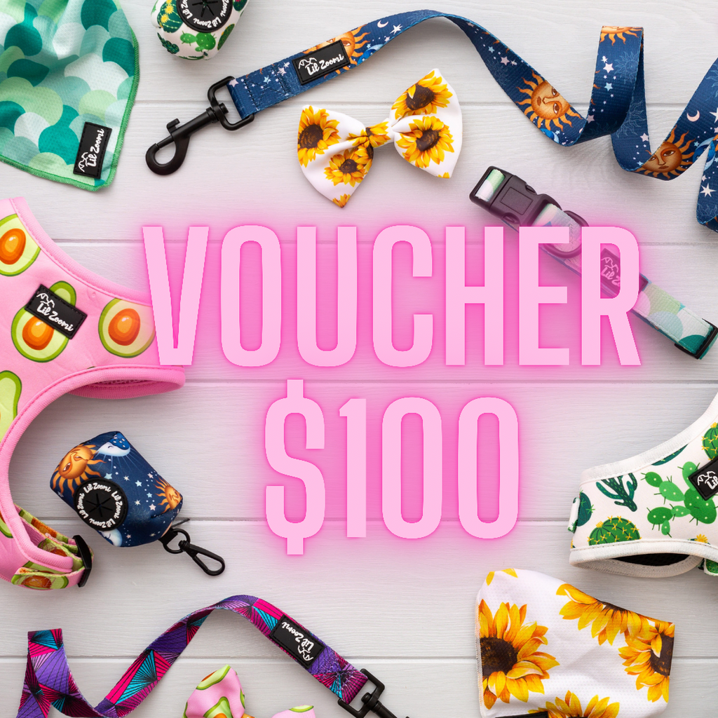 Lil Zoomi $100 online store voucher