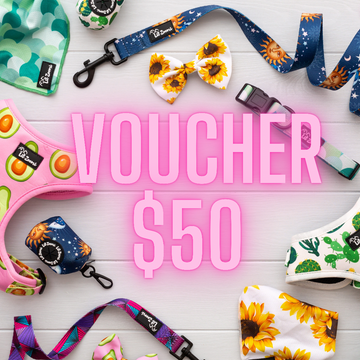 Lil Zoomi $50 online store voucher