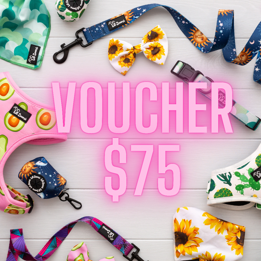 Lil Zoomi $75 online store voucher