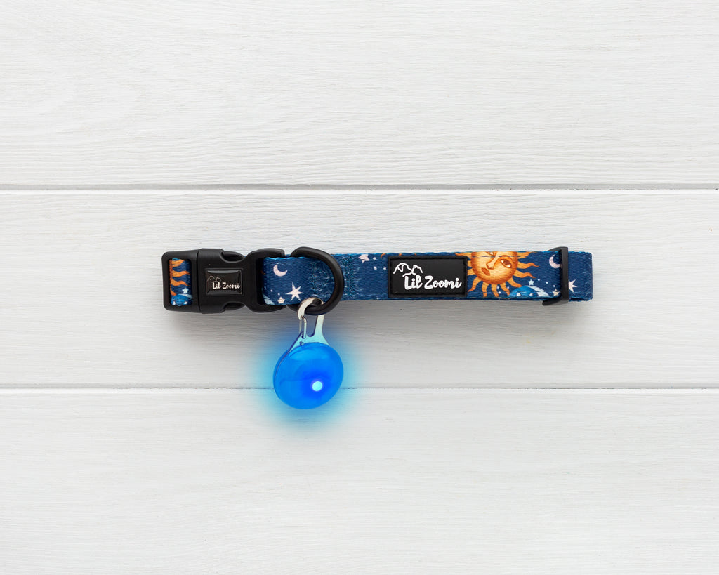 Lil Zoomi Night safety flashing LED lights blue with collar