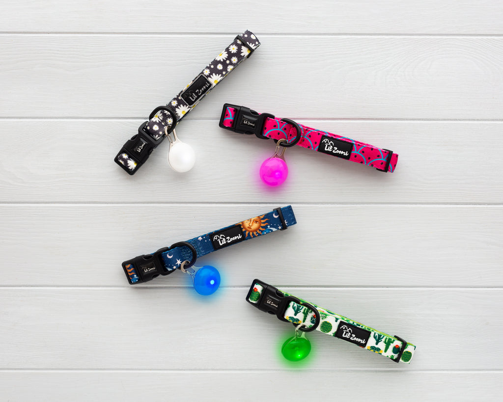 Lil Zoomi Night safety flashing LED lights mixed colours and collars 