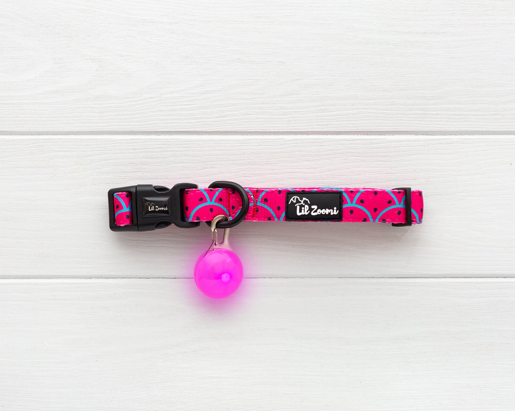 Lil Zoomi Night safety flashing LED lights pink with collar