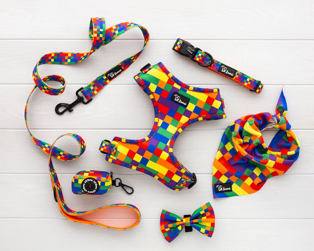Multi coloured Tetris proud and pawsome theme dog and cat pet accessories harness, lead, collar, bow-tie, bandana and poop-bag holder bundle