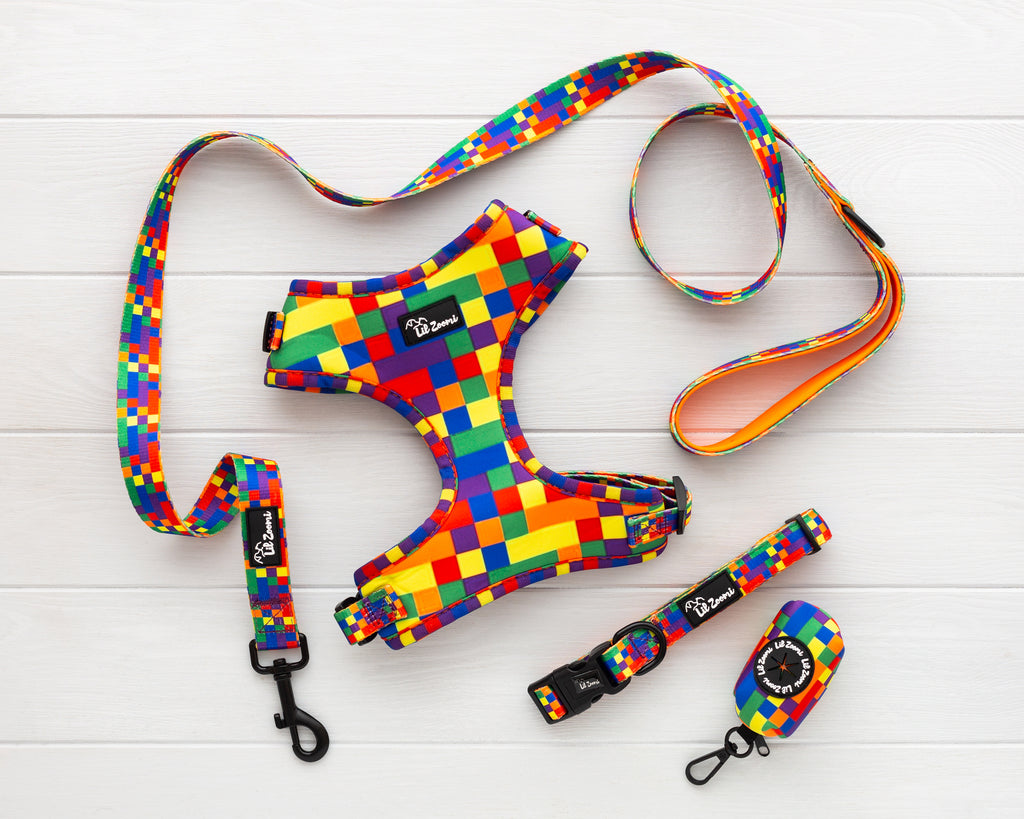 Multi coloured Tetris proud and pawsome theme dog and cat pet accessories walking bundle