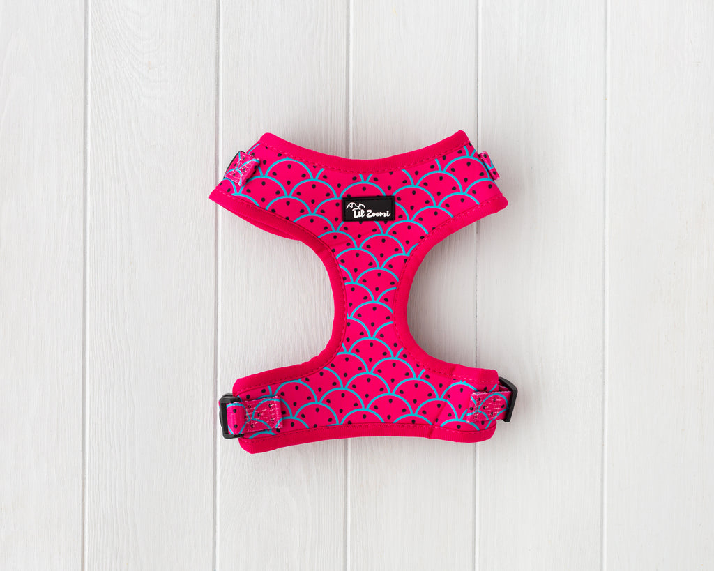 One in a melon theme dog and cat adjustable harness front
